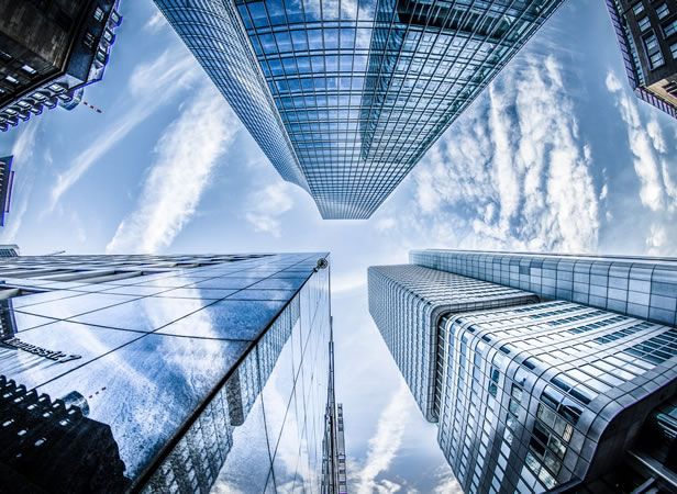  The only way to continue growing, personally and professionally, is to find new experiences that expand your wisdom and perspectives.